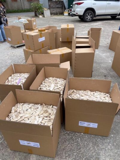 646E03F5-BE35-4205-B0CA-F8E47D841B3D