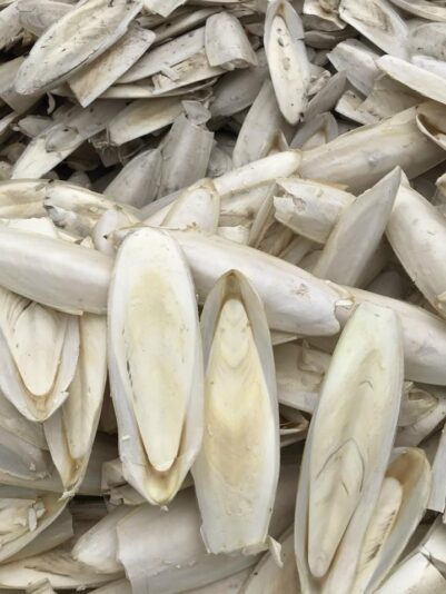 62F261F8-4CE6-42CE-ABCB-A402B263968F