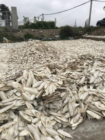 7A31754E-37C1-4BC8-8B94-C3AB6F1D1408