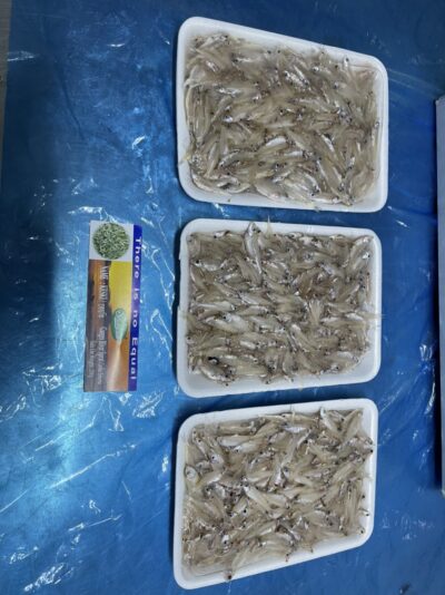 z2572163524131_da487b5b7eecfcf5485af0690dea0c5a