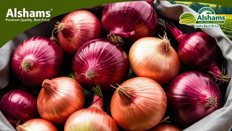 WhatsApp Image 2025-05-28 at 12.00.53_7f7732b5