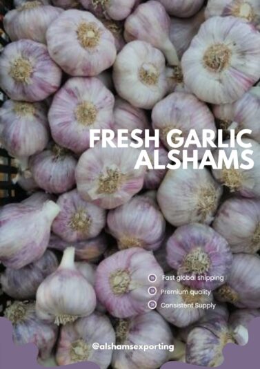 WhatsApp Image 2025-06-02 at 13.01.48_ebbd4dba