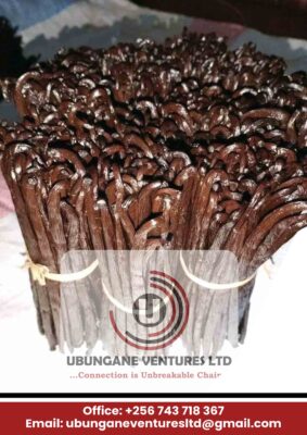 UBUNGANE VANILLA GRADE A