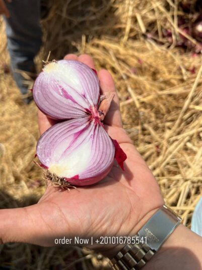 WhatsApp Image 2025-07-05 at 15.14.44_65486380