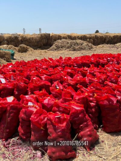 WhatsApp Image 2025-07-05 at 15.14.44_a4f26ec4