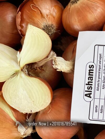 WhatsApp Image 2025-07-05 at 15.14.44_4f0e8ce7