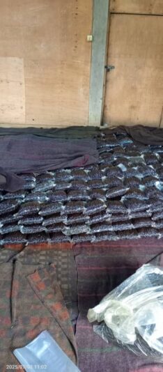 A16EEFE8-D51F-4214-A1C9-C9255E7364FF