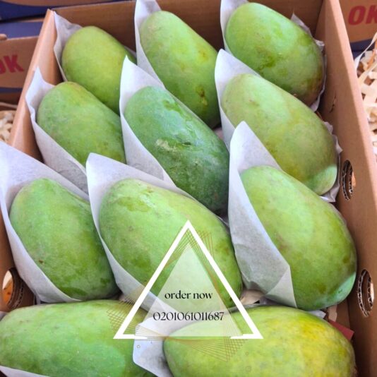 WhatsApp Image 2025-07-15 at 11.51.41_22b39359