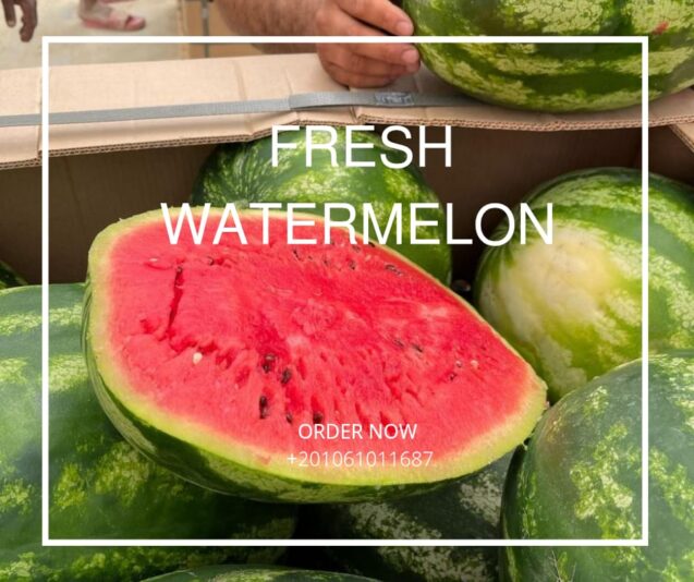 WhatsApp Image 2025-07-27 at 16.05.54_38bb7622