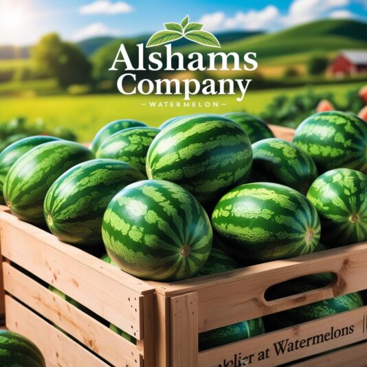 WhatsApp Image 2025-05-11 at 15.57.21_e706ce0d