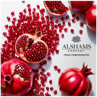 WhatsApp Image 2024-11-21 at 12.09.18_c22d1515