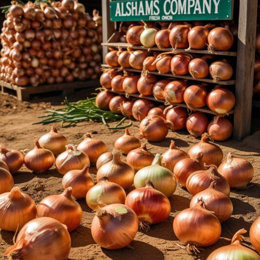 WhatsApp Image 2025-02-18 at 12.10.48_d125465f