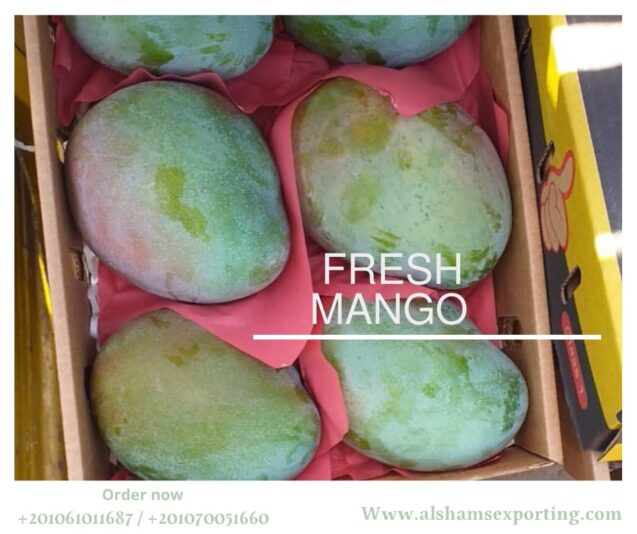 WhatsApp Image 2025-08-02 at 12.46.29_25ba2b2a