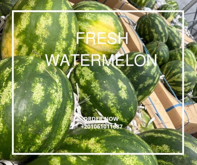 WhatsApp Image 2025-07-27 at 16.05.40_bc858b70