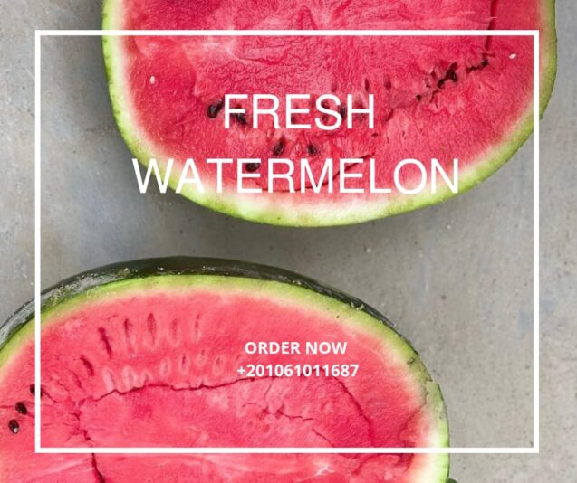 WhatsApp Image 2025-07-27 at 16.05.40_47833c89