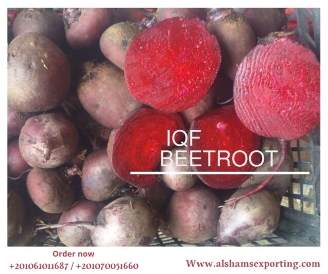 WhatsApp Image 2025-08-02 at 12.46.29_cd442b04