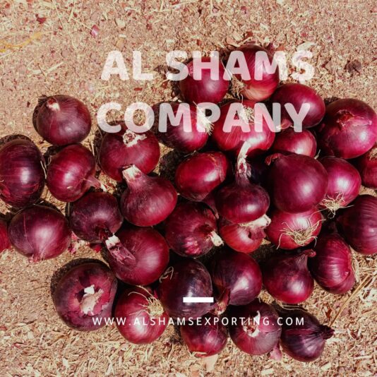 WhatsApp Image 2025-08-07 at 15.05.00_7eac0dcf