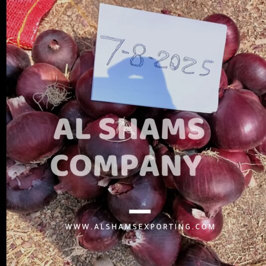 WhatsApp Image 2025-08-07 at 15.05.00_69777c58