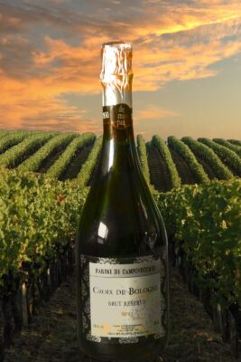 fcd64e11-d205-4a55-a26e-ea197305661f