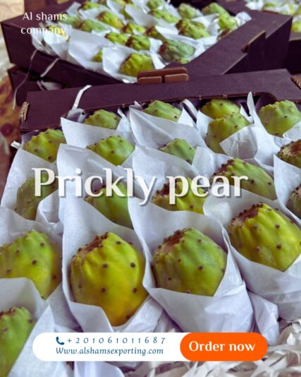 WhatsApp Image 2025-07-30 at 11.48.25_79b6f72c