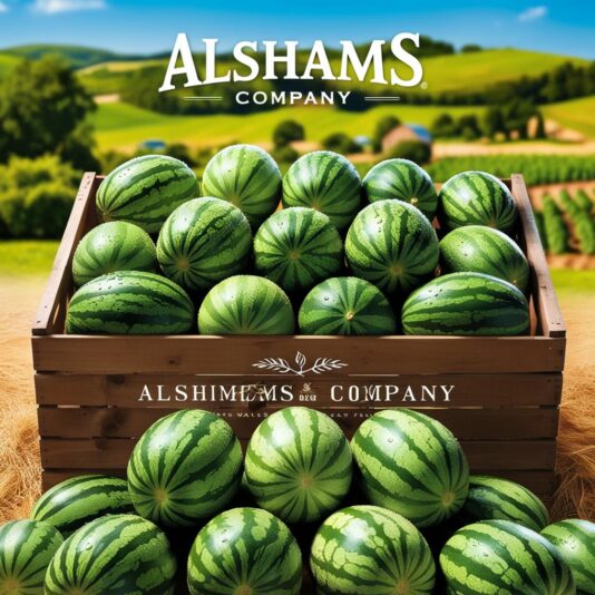 WhatsApp Image 2025-05-11 at 15.57.19_cf6abd9d