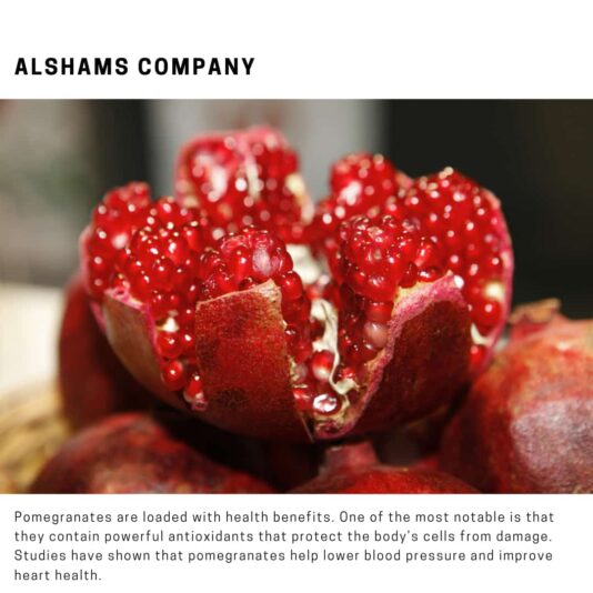 WhatsApp Image 2024-10-24 at 12.14.41_e6aad908