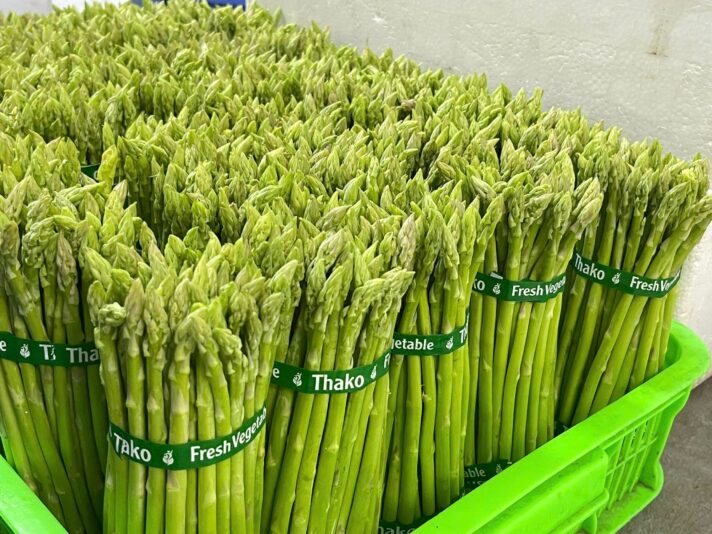 64193aa9c9cc7f9226dd