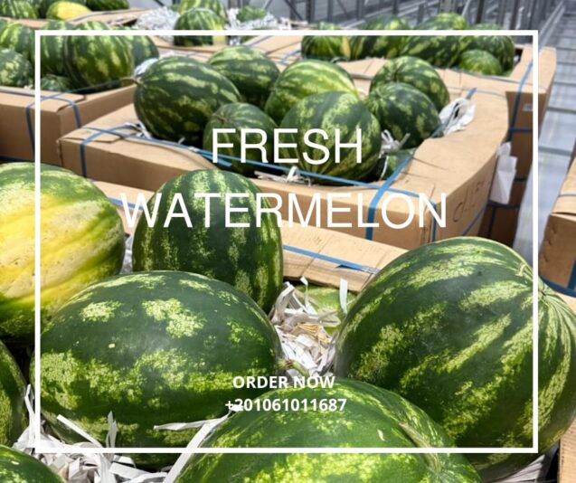 WhatsApp Image 2025-07-27 at 16.05.54_d3110ed9