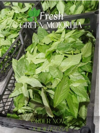 WhatsApp Image 2025-08-09 at 17.15.01_0ebfac99