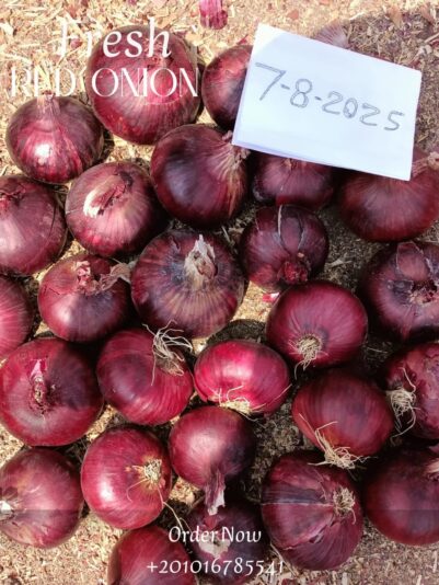 WhatsApp Image 2025-08-07 at 15.31.20_d6eb659f