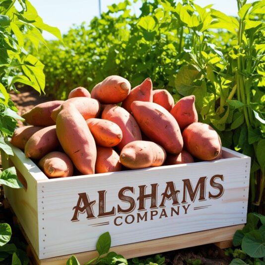 WhatsApp Image 2024-12-07 at 14.50.56_3798e5b7