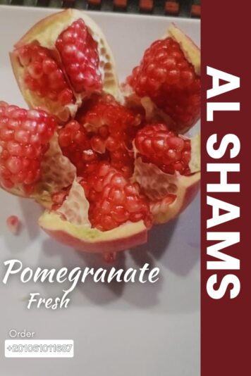 WhatsApp Image 2025-08-19 at 15.13.35_be911057