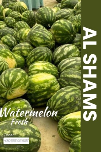 WhatsApp Image 2025-08-19 at 15.13.35_19fed160