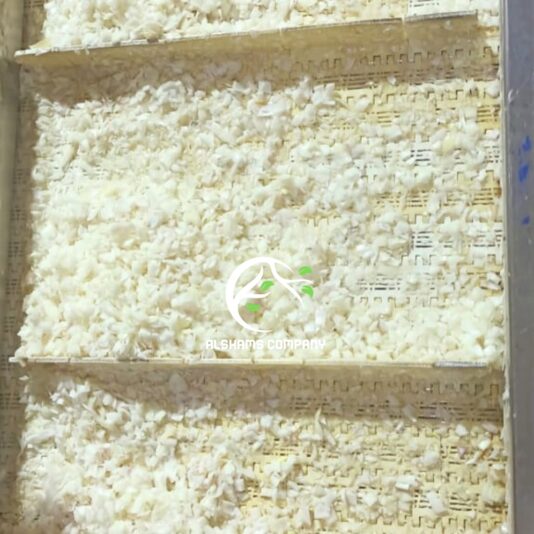 WhatsApp Image 2024-10-19 at 12.05.15_51b760a0