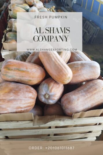 WhatsApp Image 2025-08-19 at 15.17.56_81e36d3b