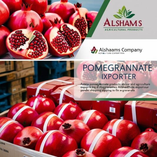 WhatsApp Image 2024-11-21 at 12.09.17_543cfa70