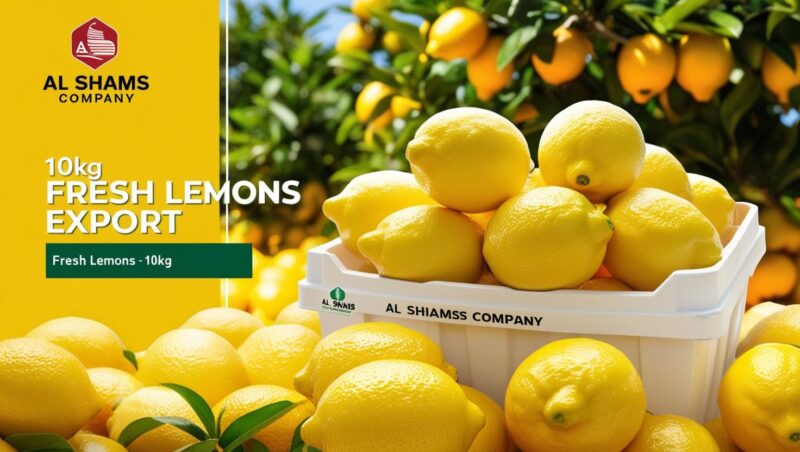 تصميم اعلان عن منتج الليمون عبى فى صندوق بلاستيك 10 كيلو