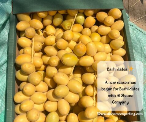 WhatsApp Image 2025-08-06 at 16.08.31_2c256147