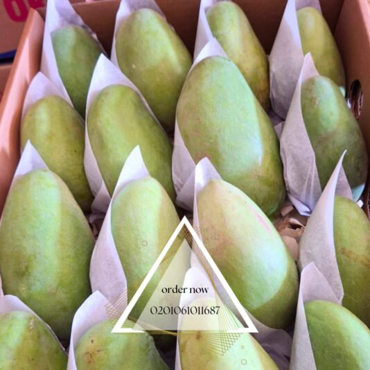 WhatsApp Image 2025-07-15 at 11.51.41_54f0702b