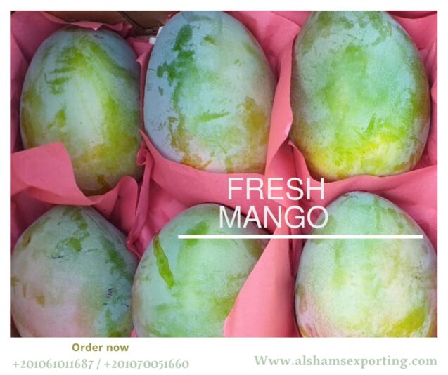 WhatsApp Image 2025-08-02 at 12.46.28_525ac2d3