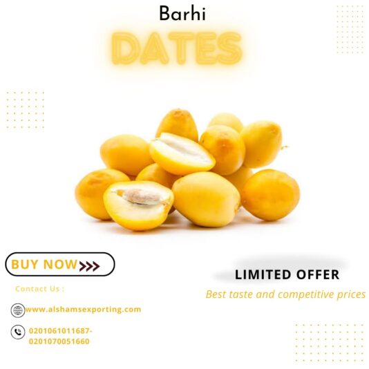 WhatsApp Image 2024-08-27 at 13.04.53_ddf9c1a1