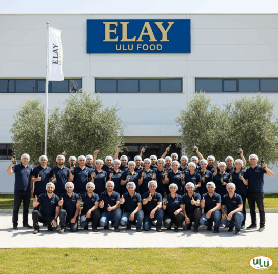 ulu food-elay mühendisleri-olive oil