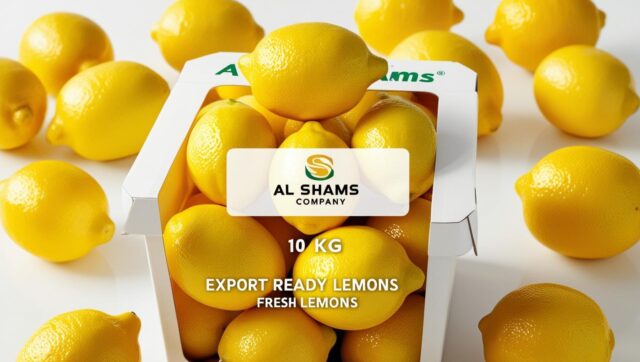 تصميم اعلان عن منتج الليمون الطازج للتصدير شركه Al shams company متعبى فى صندوق بلاستيك 10 كيلو