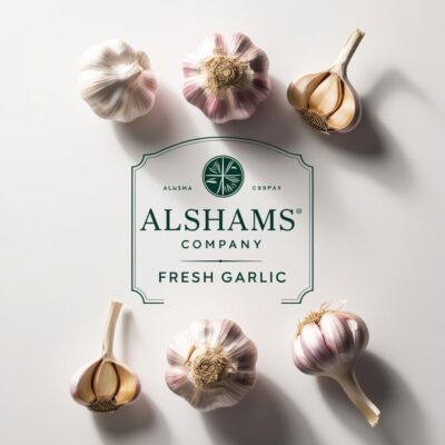 WhatsApp Image 2025-02-11 at 14.43.22_c1e16bb7