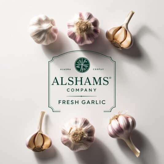 WhatsApp Image 2025-02-11 at 14.43.22_c1e16bb7