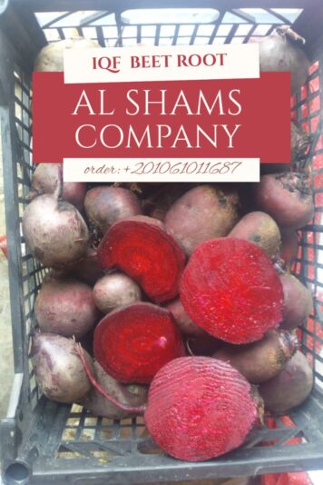 WhatsApp Image 2025-09-07 at 13.44.01_00d30e5c