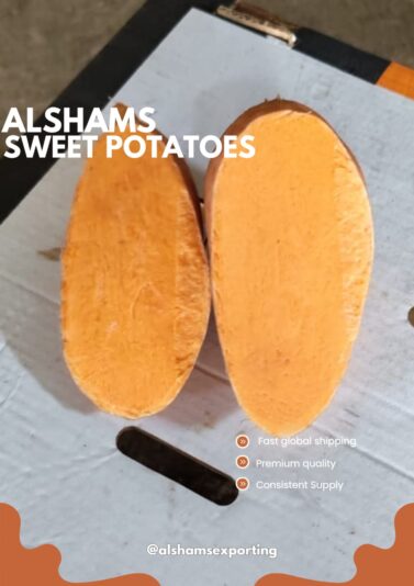 WhatsApp Image 2025-08-23 at 13.28.56_d2944a1d