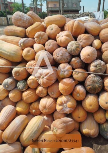 WhatsApp Image 2025-08-11 at 15.04.45_913b60cf - Copy