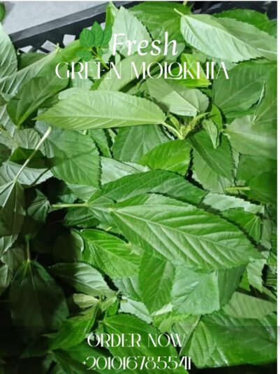 WhatsApp Image 2025-08-09 at 17.15.02_89e96a54