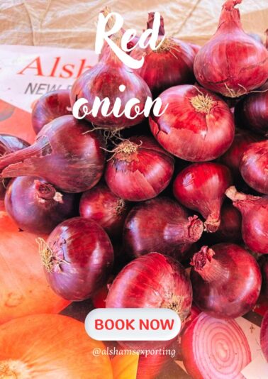 WhatsApp Image 2025-07-23 at 13.44.36_3480421e